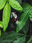 雨水节海报展板素材