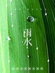 雨水节海报展板素材
