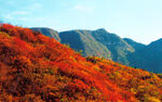 北京香山