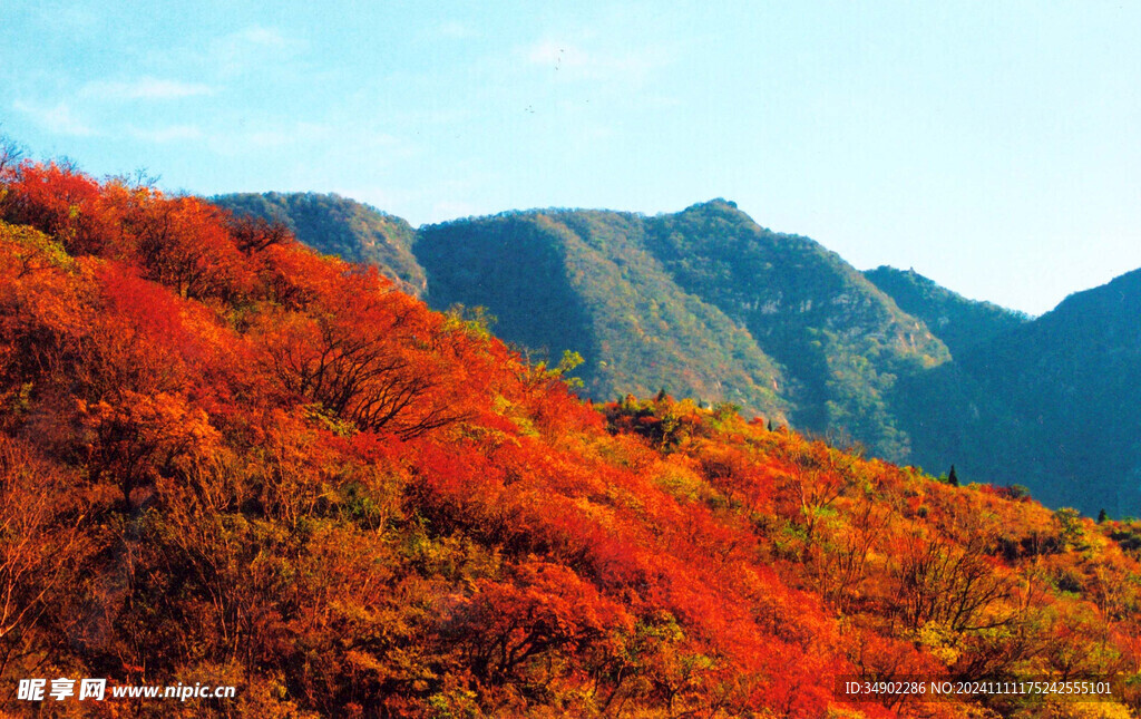 北京香山