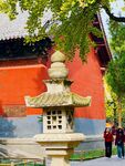 白马寺内石灯笼红墙和银杏
