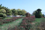 公园风景  