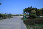 公园风景  