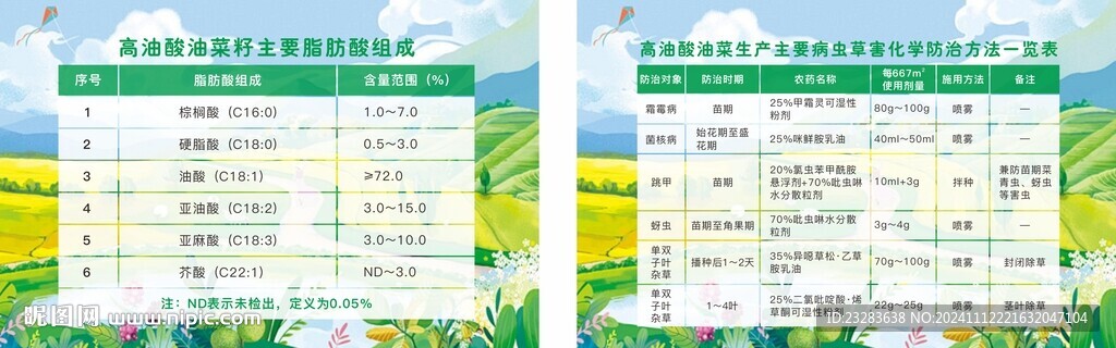 油菜籽公告栏