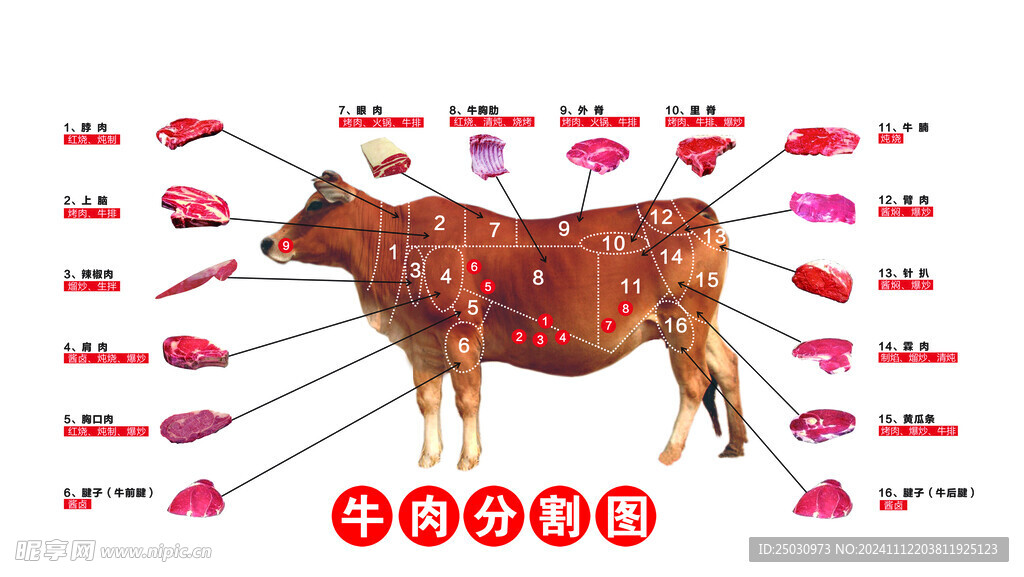 牛肉分割图