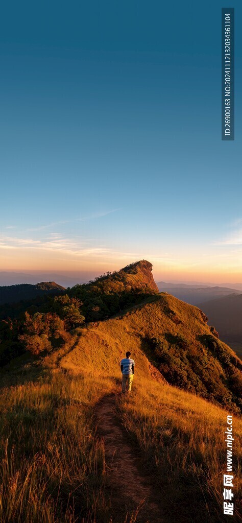 山顶风景