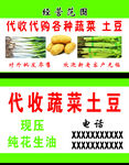 代收  名片