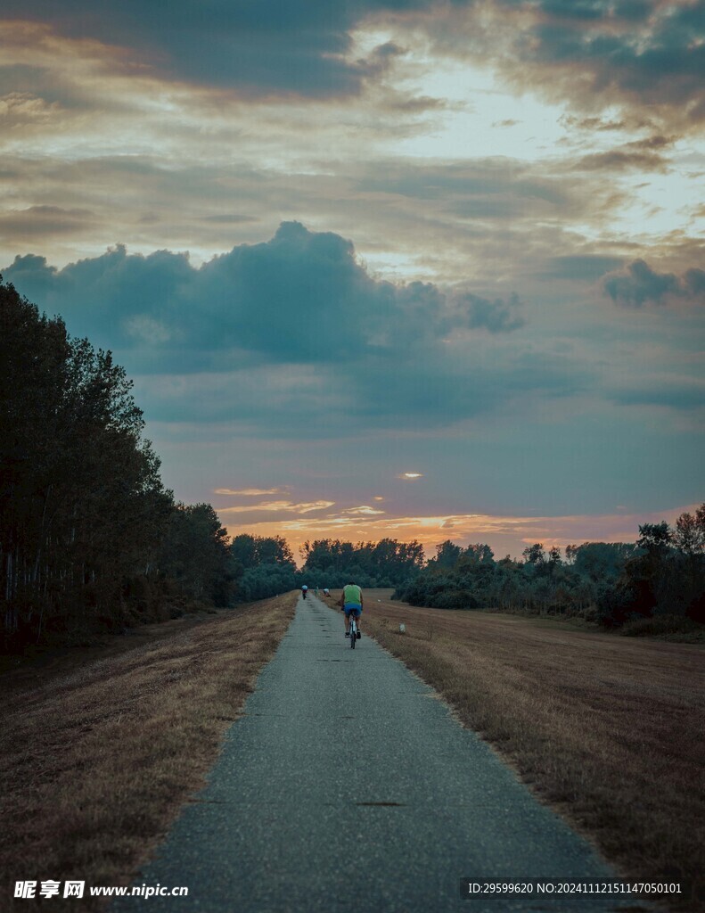 公园风景  