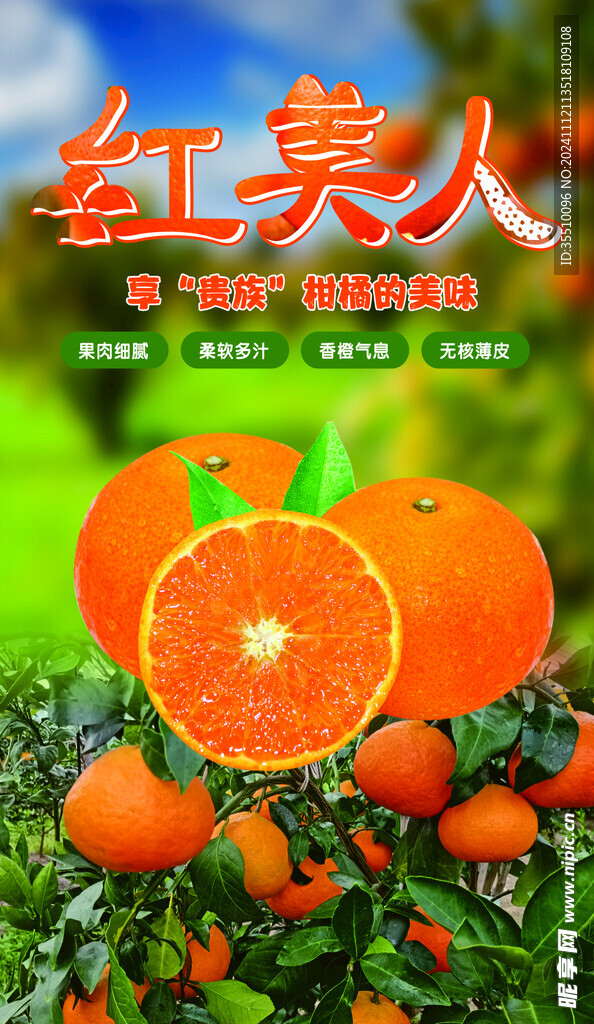 桔子 橘子 红美人 