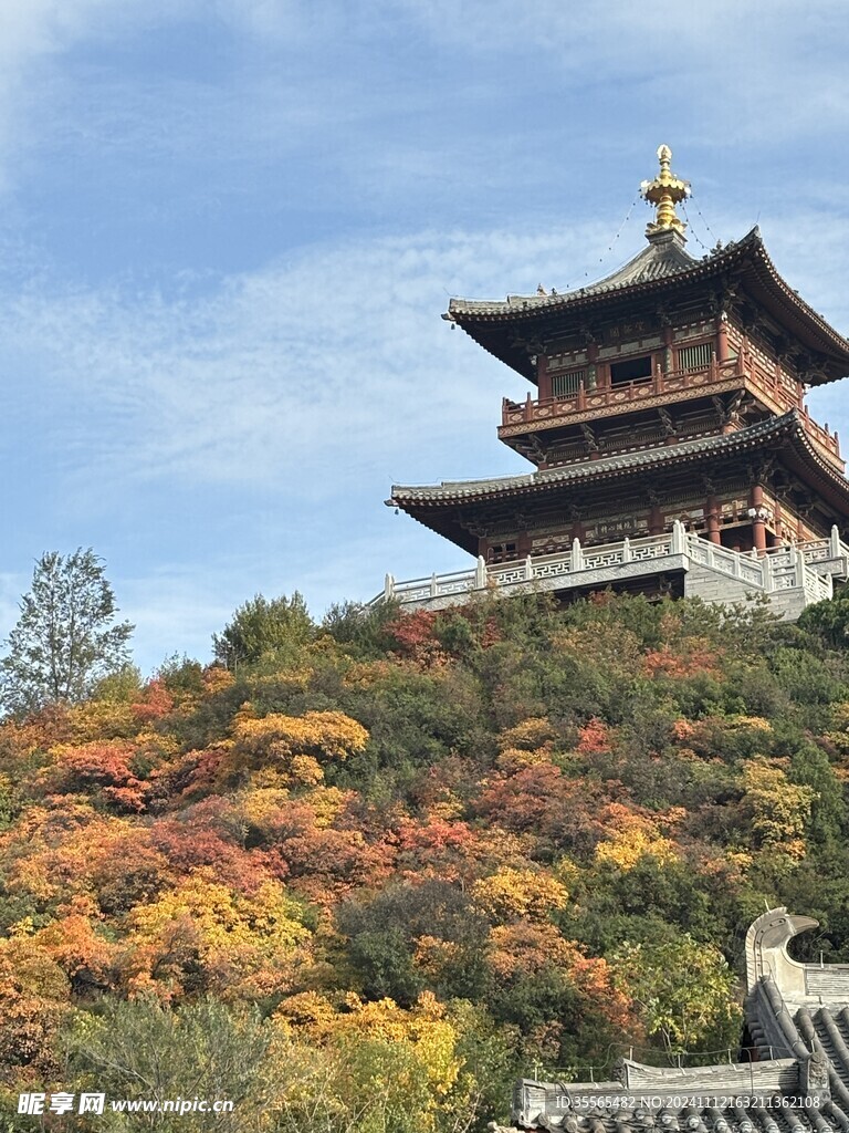 秋风美景