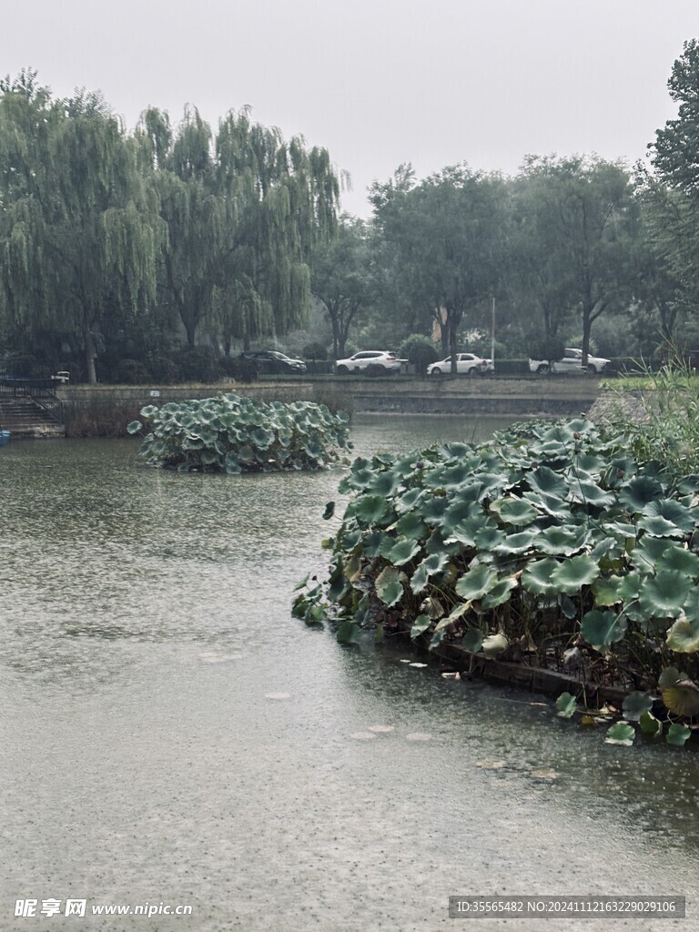 雨后丁香湖