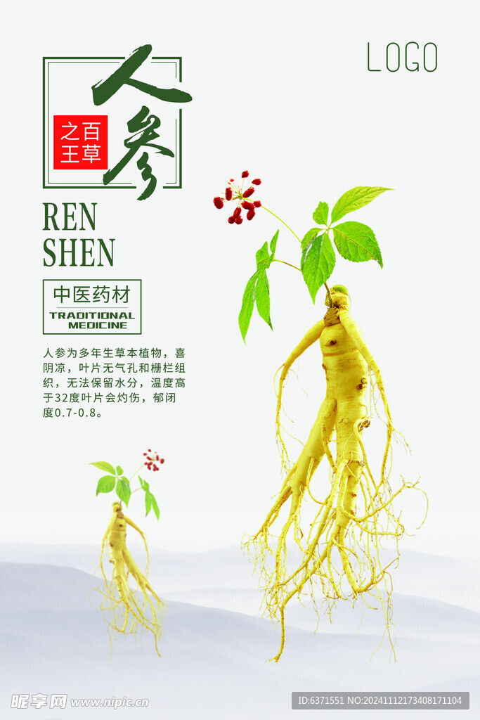 人参海报