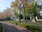 园林景观