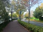 园林景观