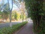 园林景观