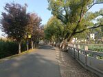 园林景观