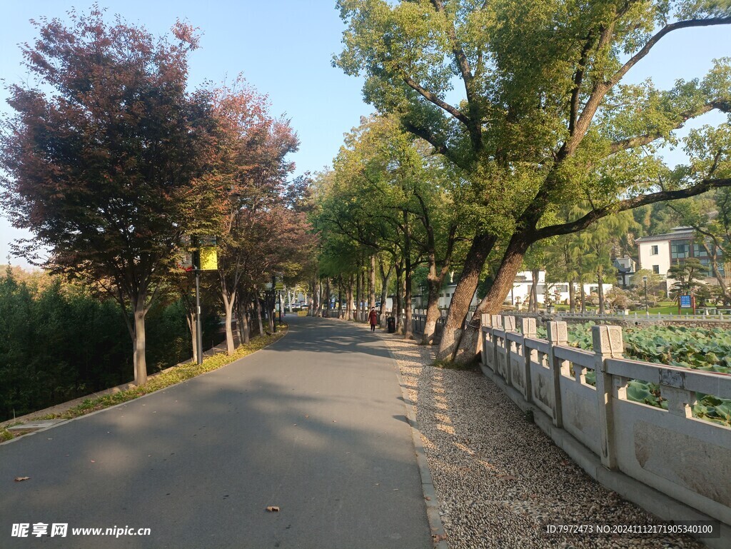 园林景观