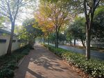 园林景观
