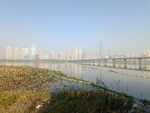 沙湖大桥