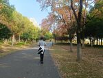 园林景观