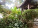 园林景观