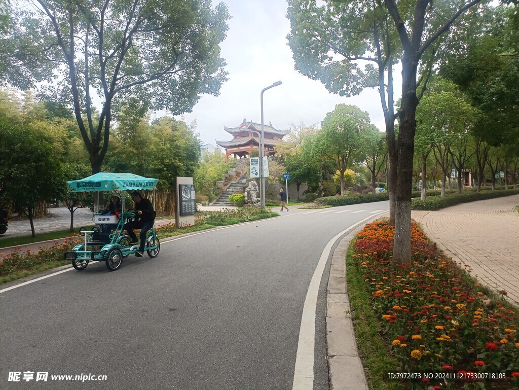 园林景观