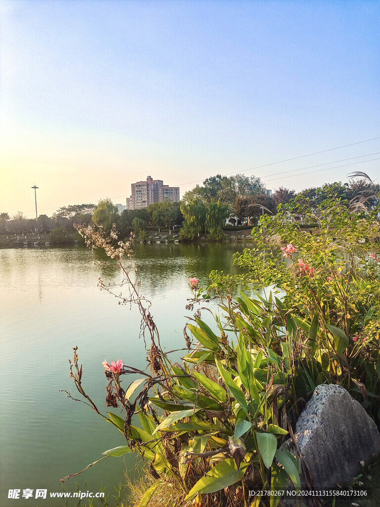 公园河边风景