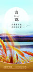 白露节气