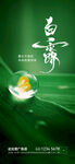 白露节气