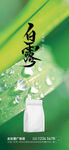 白露节气