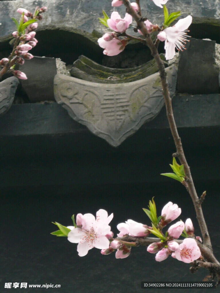 桃花