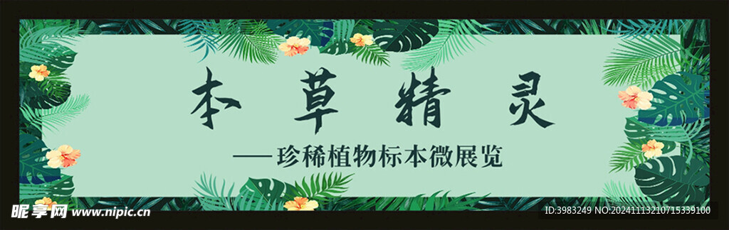 本草精灵花草树叶绿色