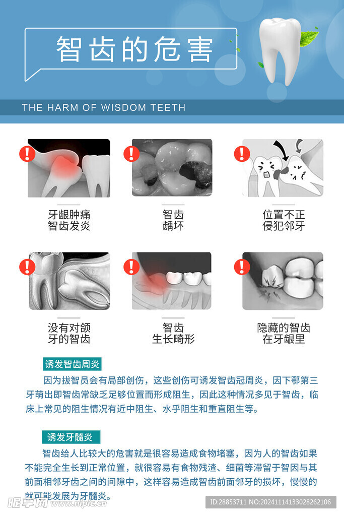 智齿危害
