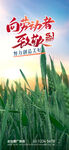 五一劳动节