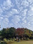 天空