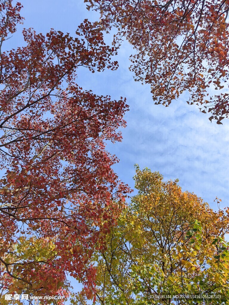 天空