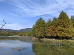 燕雀湖