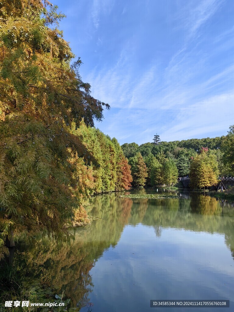 燕雀湖