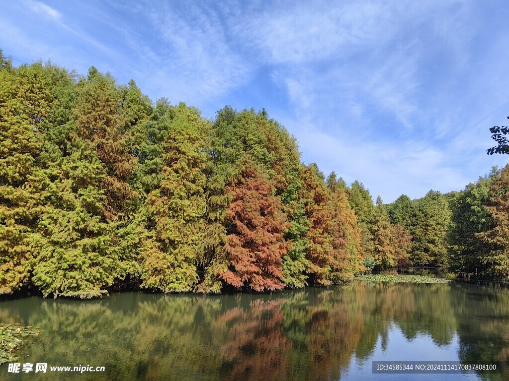 燕雀湖