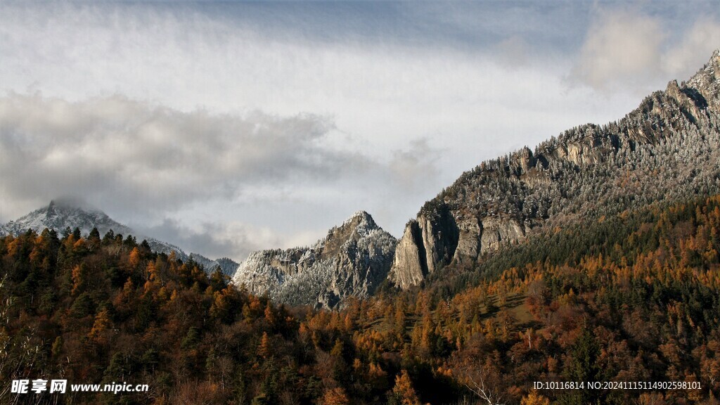 阿尔卑斯山