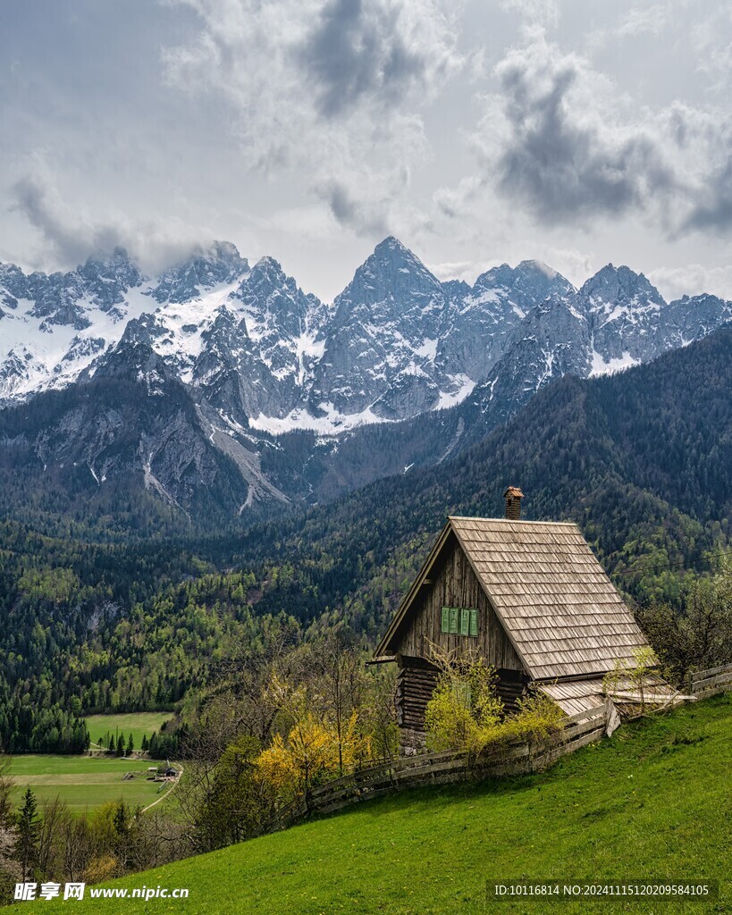 阿尔卑斯山