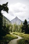 树林远山