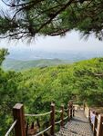 景区木栈道