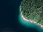 环岛海域树林