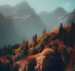 秋天深山老林