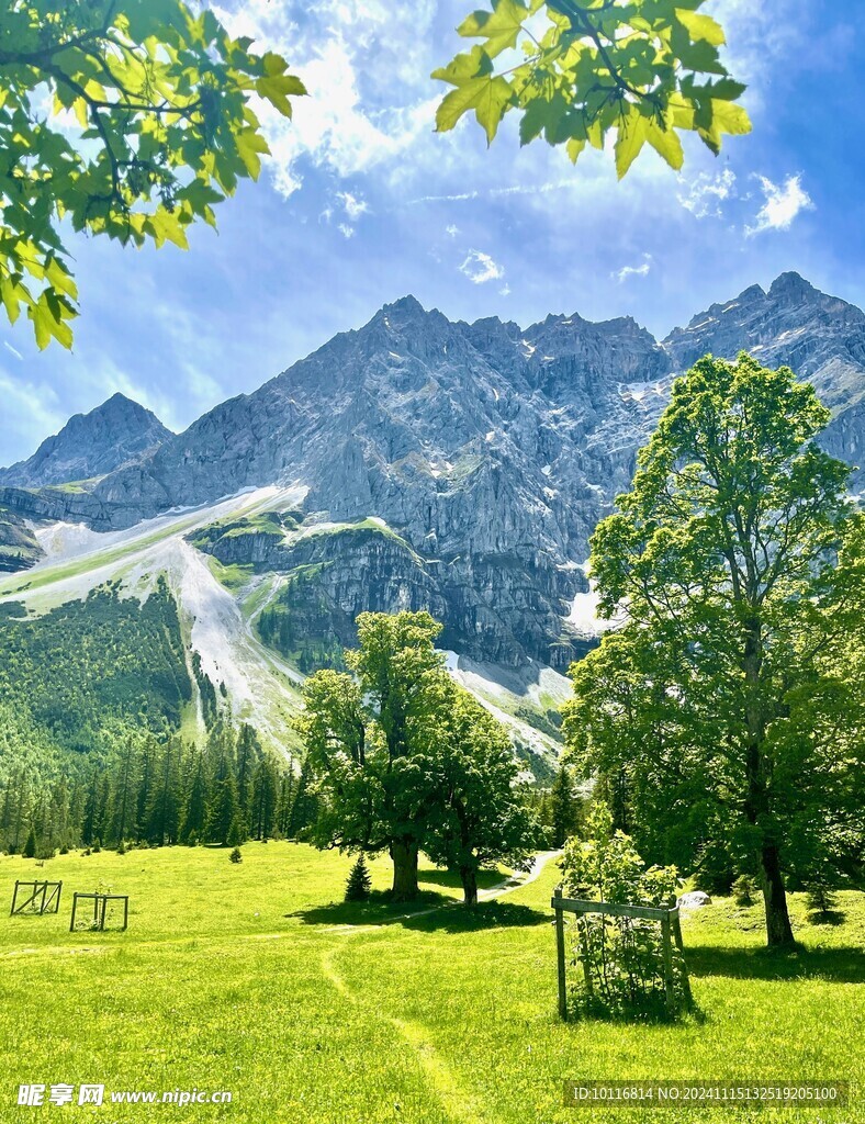 山峰草地