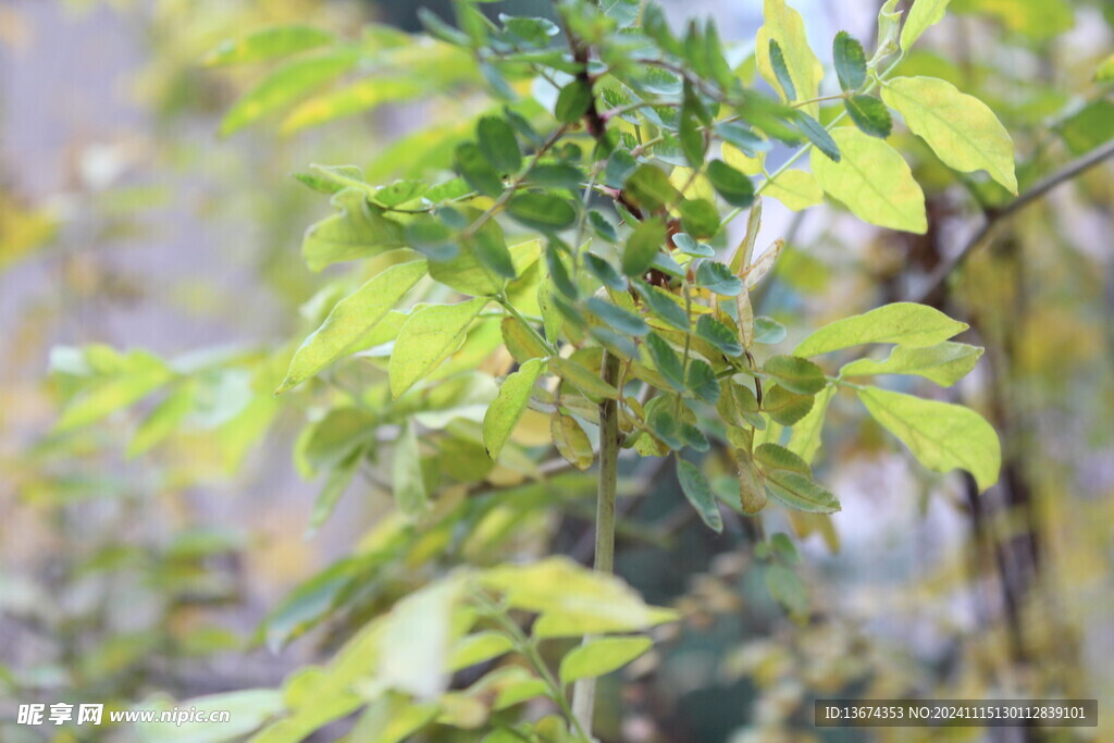 产业园自然风景摄影