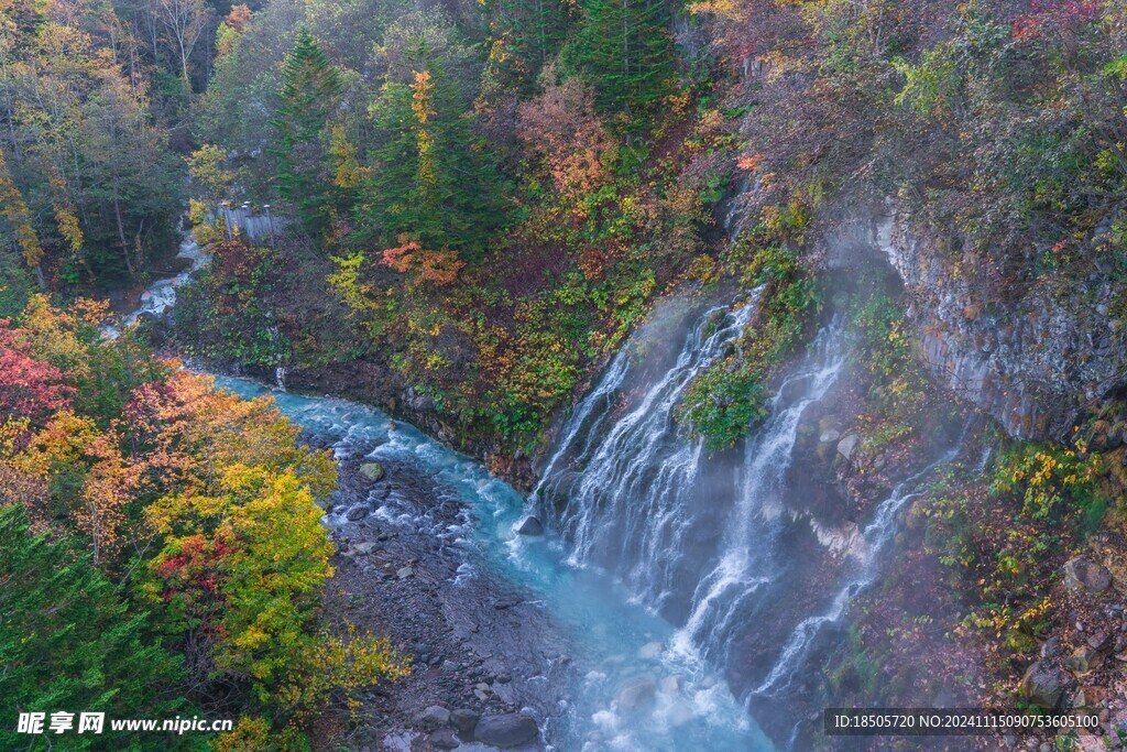 河道旁美景