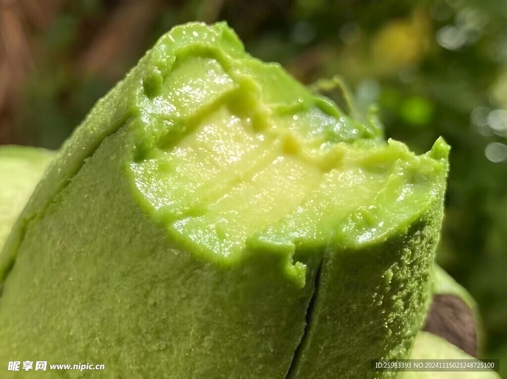 牛油果