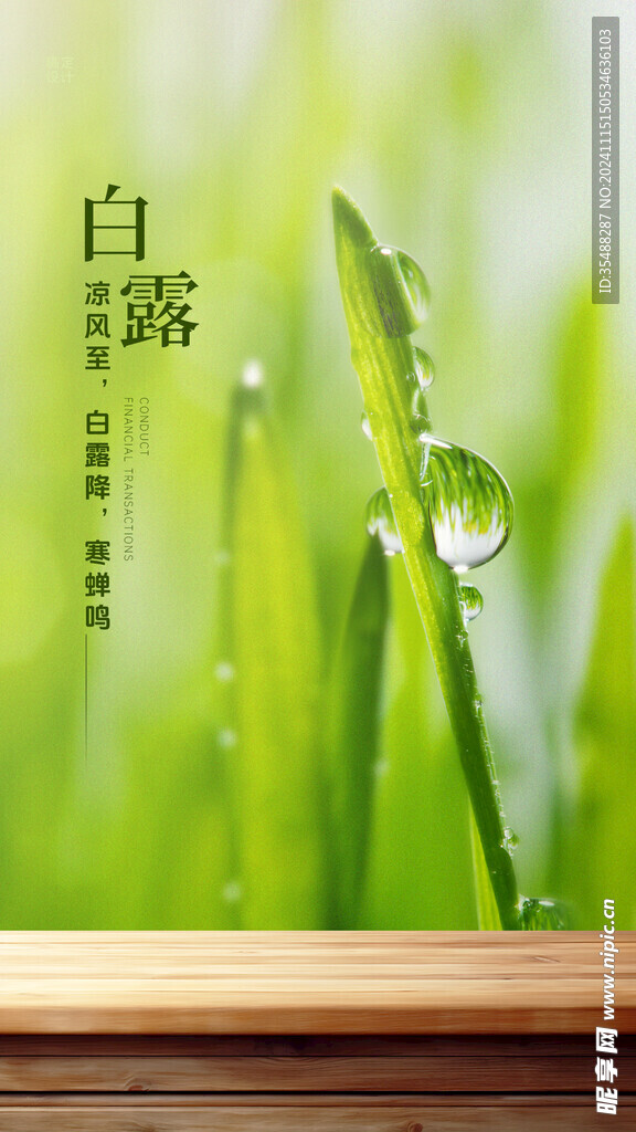 白露节气海报